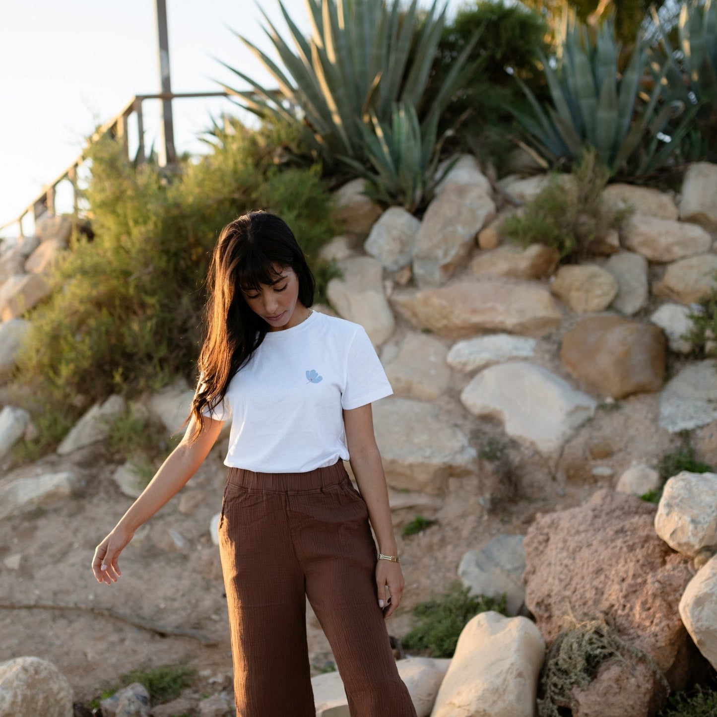 Playera estampada Alva